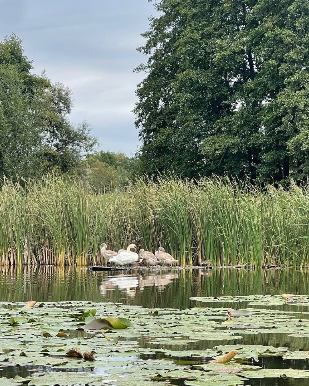 Ptakha Camp — фото 47