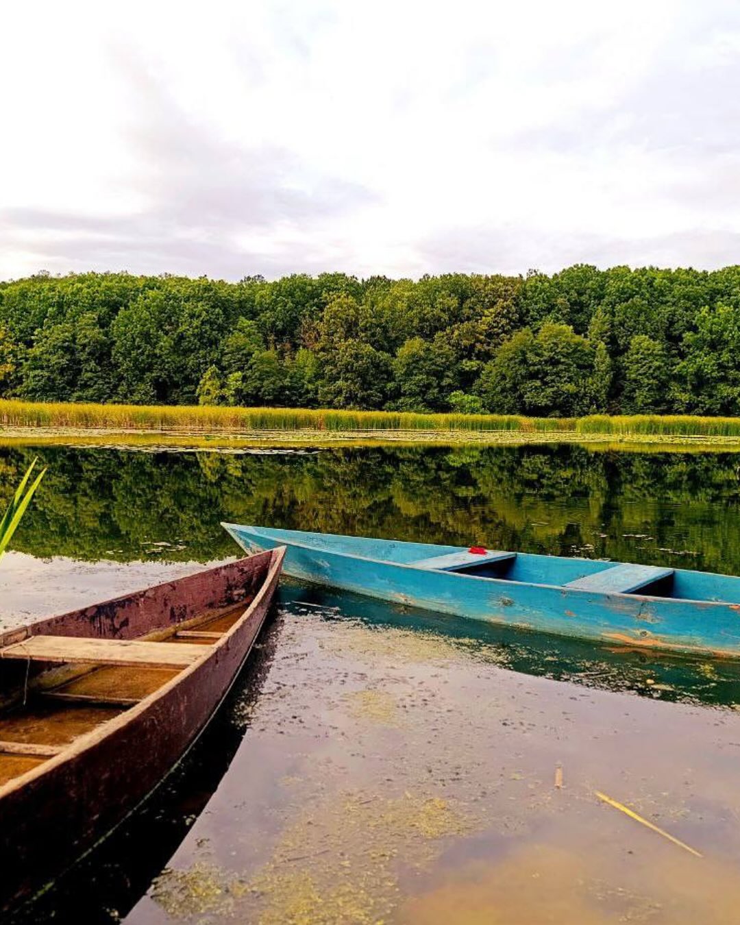 Ptakha Camp — фото 48