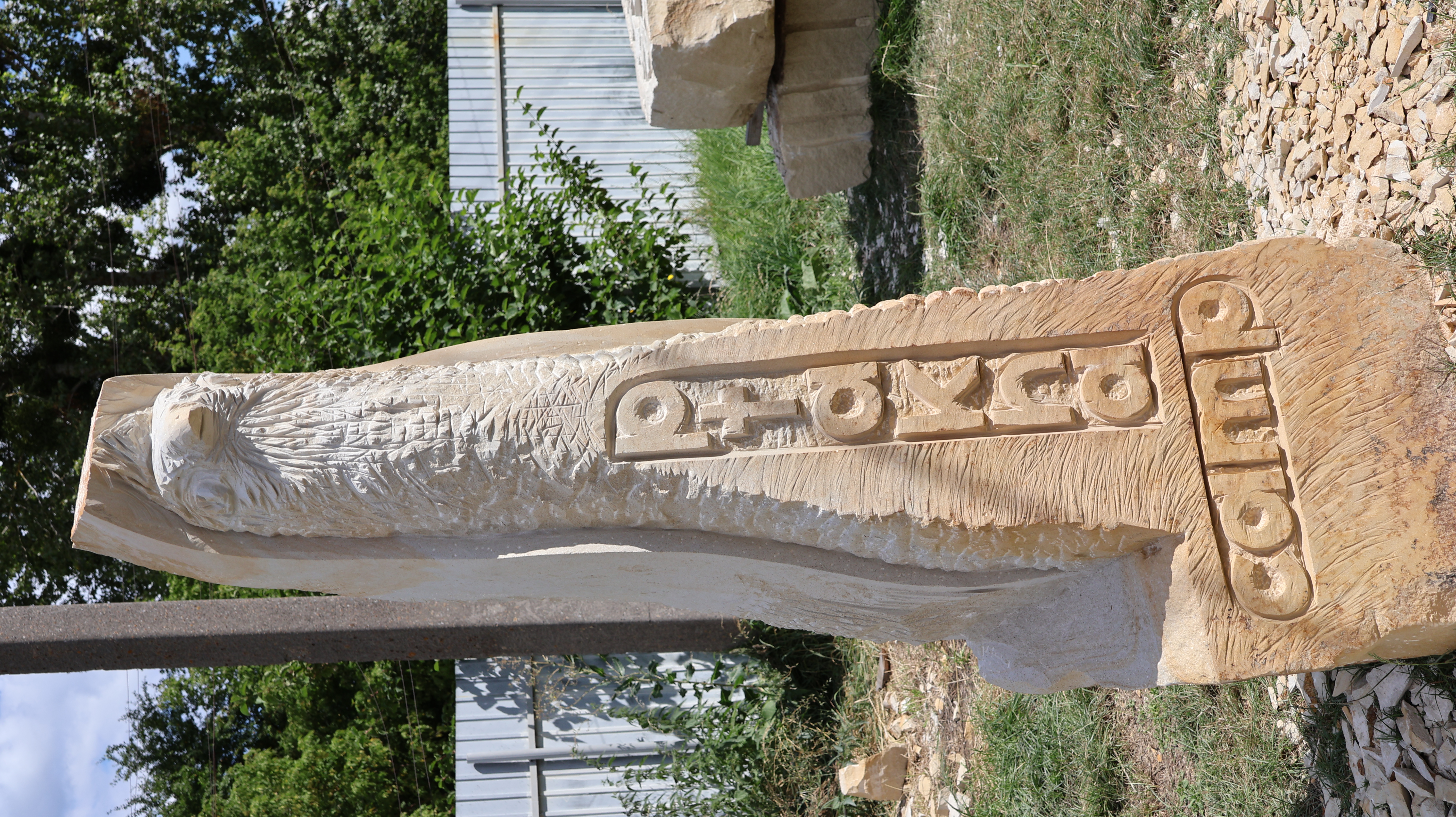 Ptakha Camp — фото 49